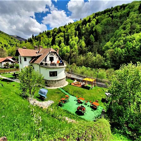 Casa Catalea Apartment Sinaia Exterior photo