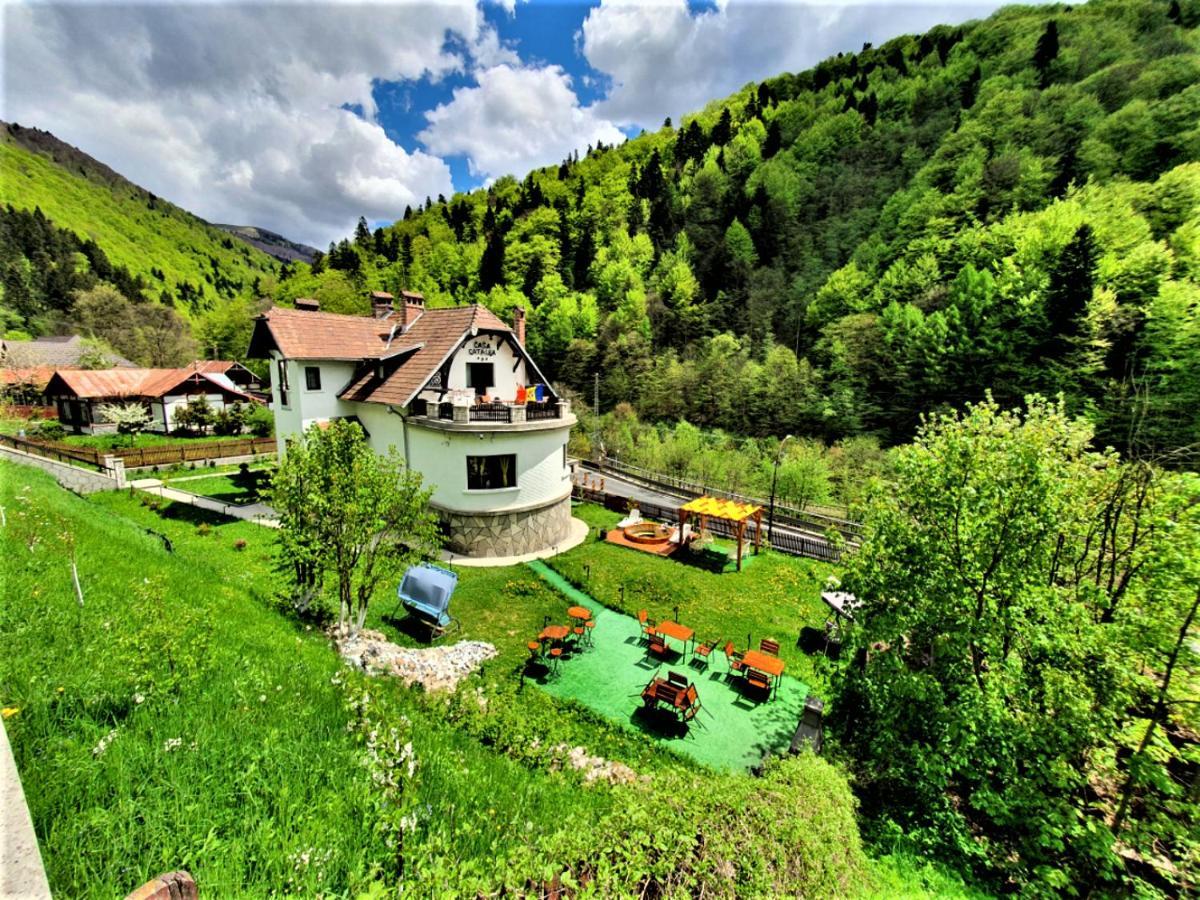 Casa Catalea Apartment Sinaia Exterior photo